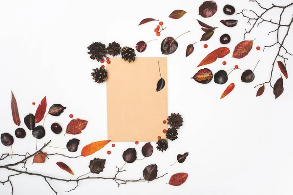 Folhas secas e cartão em branco — Fotografia de Stock