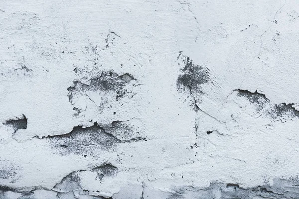 Concrete wall background — Stock Photo