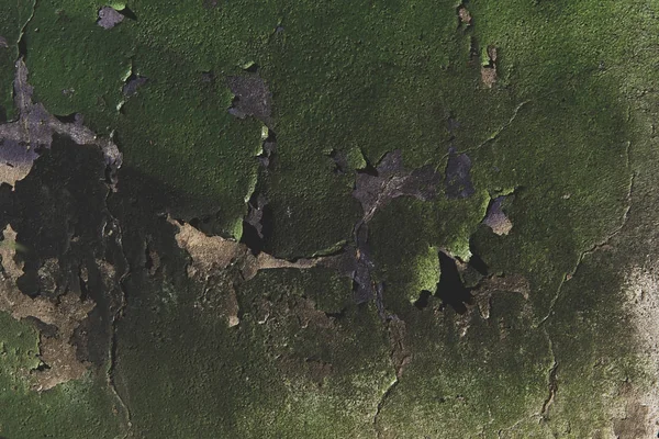 Вивітрюванню великий зелений Мур — стокове фото