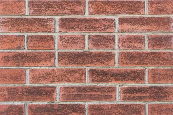 Brick wall texture — Stock Photo