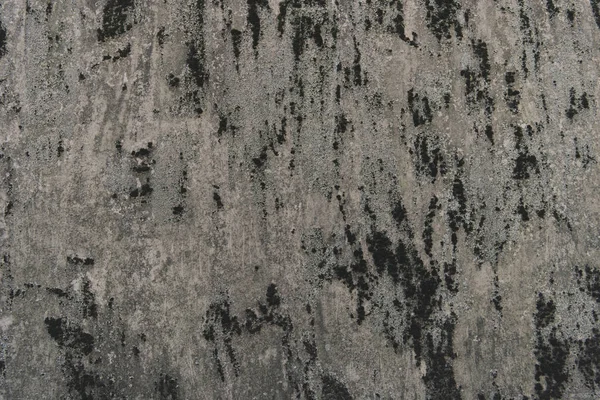 Grey weathered surface — Stock Photo