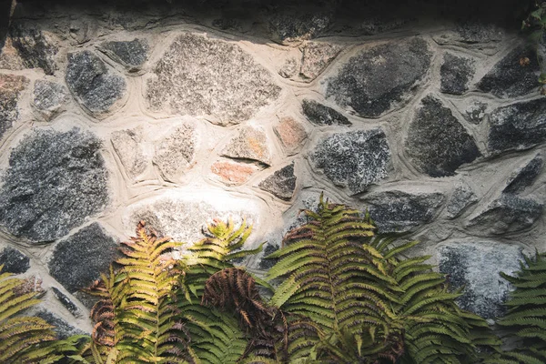 Texture de mur de pierre — Photo de stock