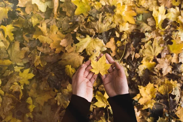 Donna che tiene foglia caduta — Foto stock