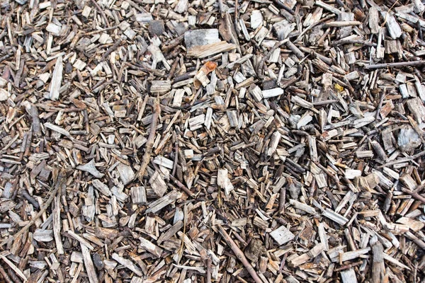 Wooden flinders — Stock Photo