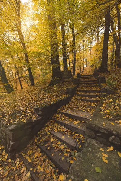 Escaliers au parc d'automne — Photo de stock