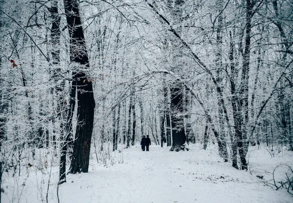 Couple walking through winter forest — Stock Photo