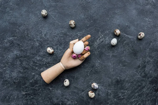 Huevos de codorniz alrededor de maniquí mano con huevo de gallina sobre fondo oscuro - foto de stock