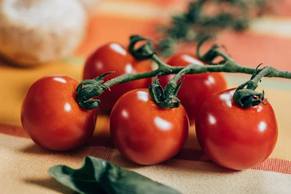 Vista de perto de tomates cereja maduros frescos em guardanapo de mesa — Fotografia de Stock