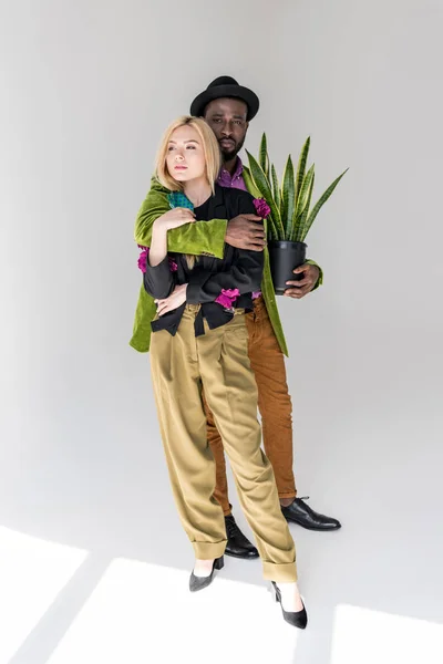 Interracial casal elegante com planta verde em vaso posando em pano de fundo cinza — Fotografia de Stock