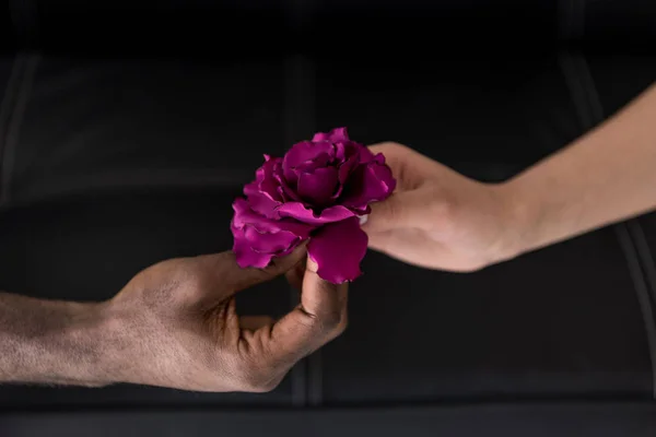 Partial view of interracial coupe holding beautiful flower together — Stock Photo