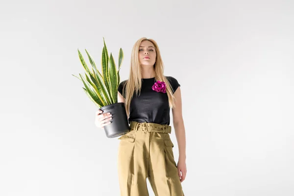 Low angle view of stylish blonde girl holding potted plant isolated on grey — Stock Photo