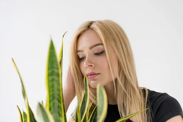 Vista de cerca de la hermosa mujer joven mirando planta de interior verde aislado en gris - foto de stock