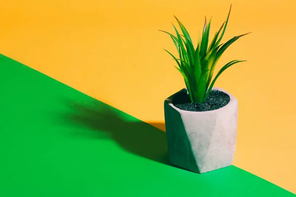 Plastikpflanze im Blumentopf — Stockfoto