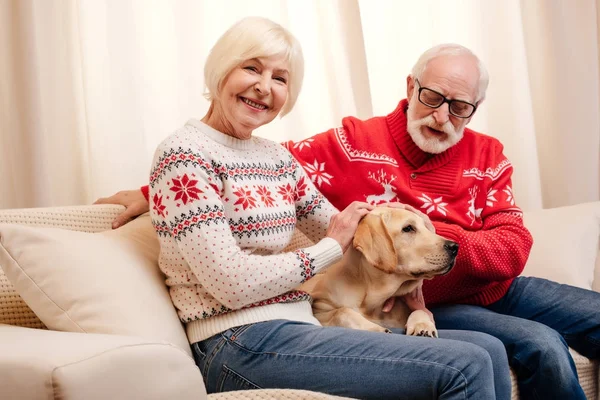 Casal sênior com cão — Fotografia de Stock