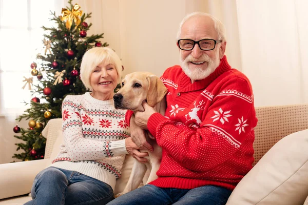 Casal sênior com cão labrador — Fotografia de Stock