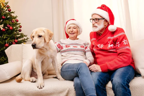 Senior echtpaar met hond met Kerstmis — Stockfoto