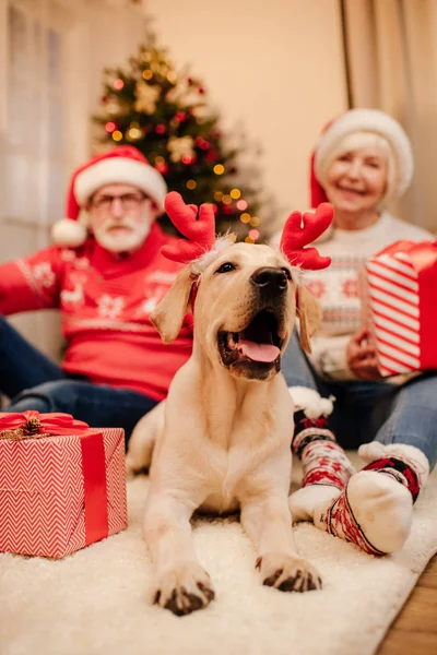 Senior couple with gifts and dog — Stock Photo, Image