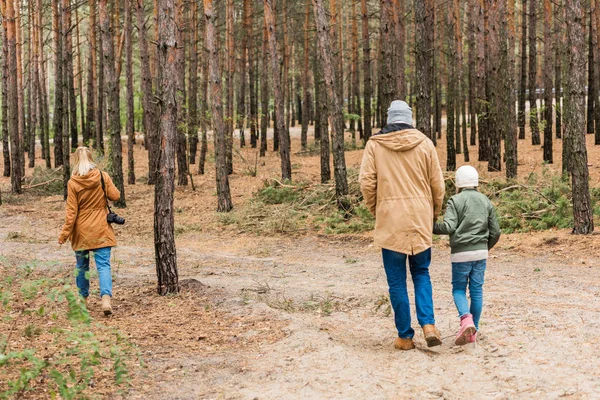 Familjen promenader genom skogen — Stockfoto