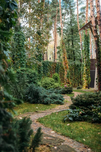 Vägen mellan buskar och stuga hus — Stockfoto