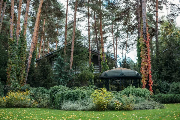 Moderne cottage huis — Stockfoto