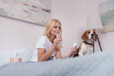 hasta bir kadın köpek vasıl ev ile 