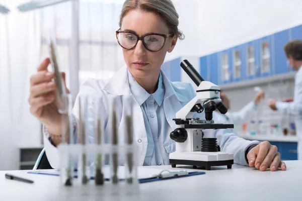 Chemiker arbeitet mit Reagenzglas — Stockfoto