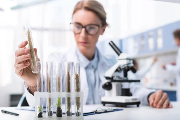 Cientista examinando tubo de ensaio — Fotografia de Stock