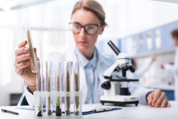 Scientist examining test tube