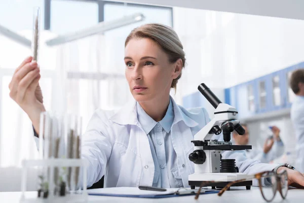 Científico examinando tubo de ensayo — Foto de Stock