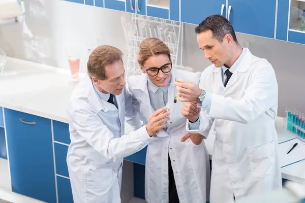 Científicos examinando tubo de ensayo — Foto de Stock