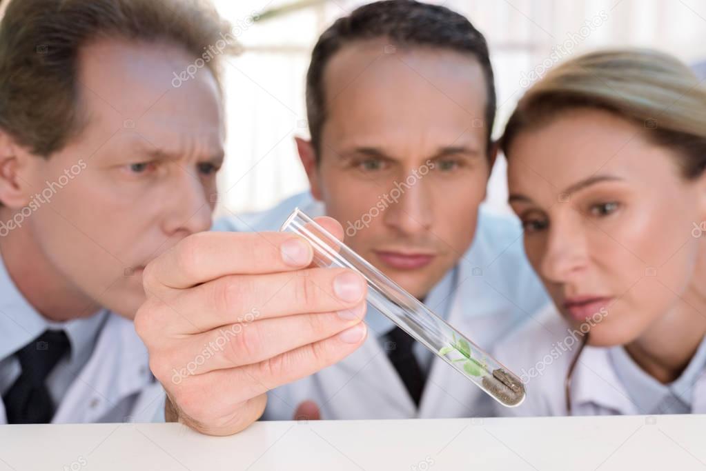 Scientists examining test tube