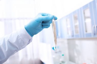Doktor deney tüpü tutuyor.