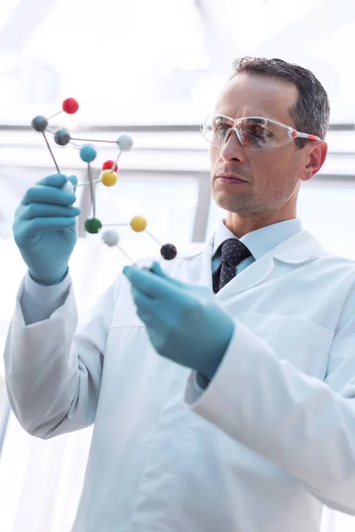 Doctor examining molecular model — Stock Photo, Image