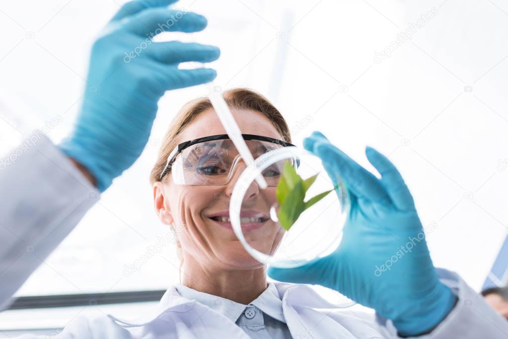 scientist with petri dish