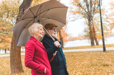 senior couple with umbrella in park clipart
