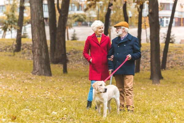 Seniorenpaar mit Hund — Stockfoto