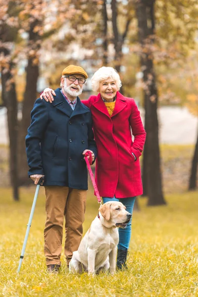 Счастливая старшая пара с собакой — стоковое фото