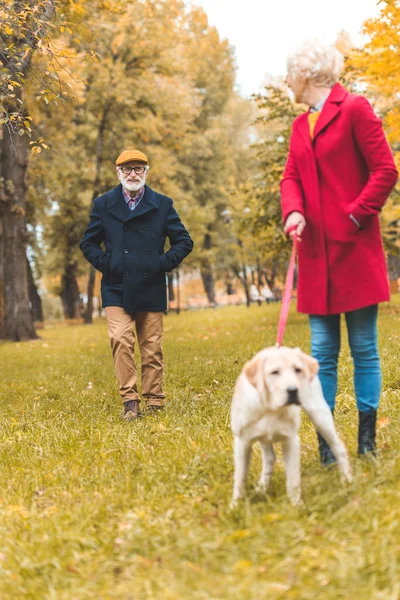 Couple sénior marchant avec chien — Photo