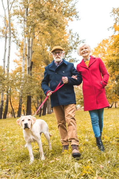 Couple with labrador in park — Stock Photo, Image