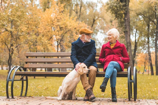 Couple sénior avec chien labrador — Photo