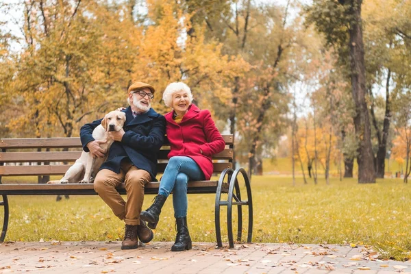 Senior couple with dog sitting on bench — Stock Photo, Image