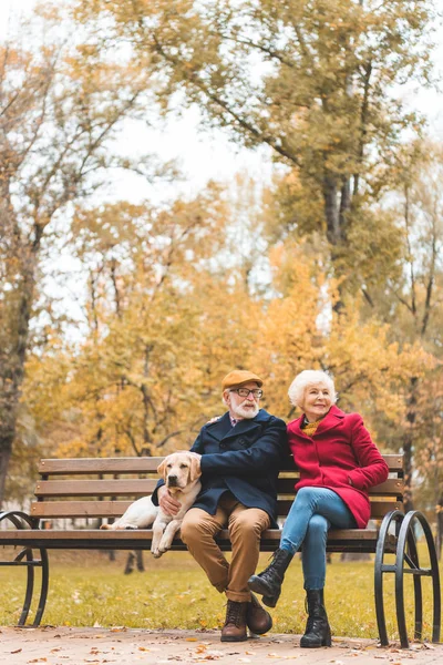 Casal sênior com cão no banco — Fotografia de Stock