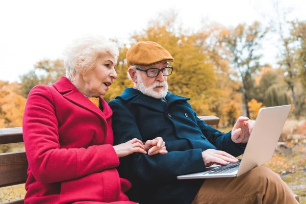 Casal sênior usando laptop no parque — Fotografia de Stock