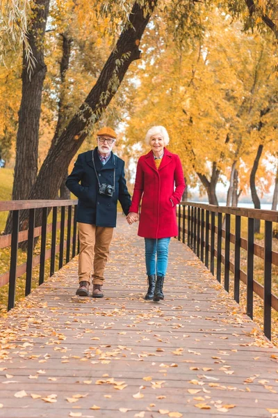 Feliz pareja de ancianos — Foto de Stock