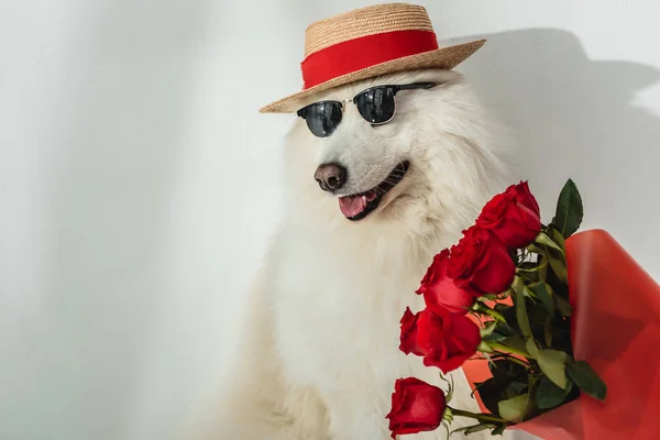 Hund med röda rosor — Stockfoto