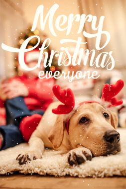 dog with christmas reindeer antlers clipart