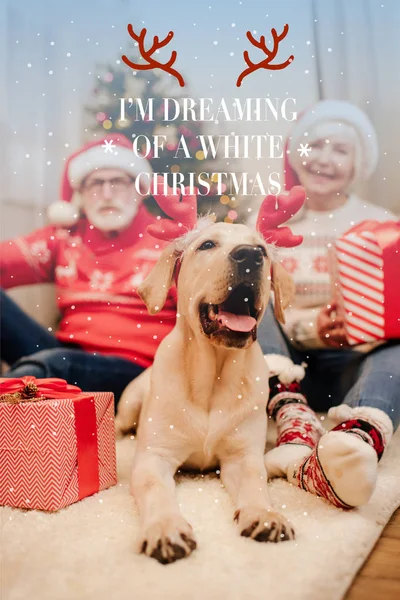 Christmas greeting card with dog — Stock Photo, Image