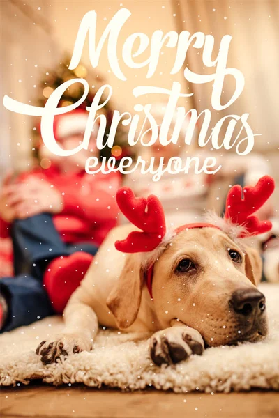 Hond met kerst Rendier geweien — Stockfoto