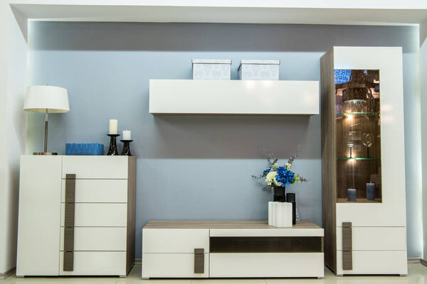 modern living room interior with closet and shelves