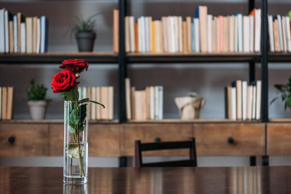 beautiful red roses in vase at library